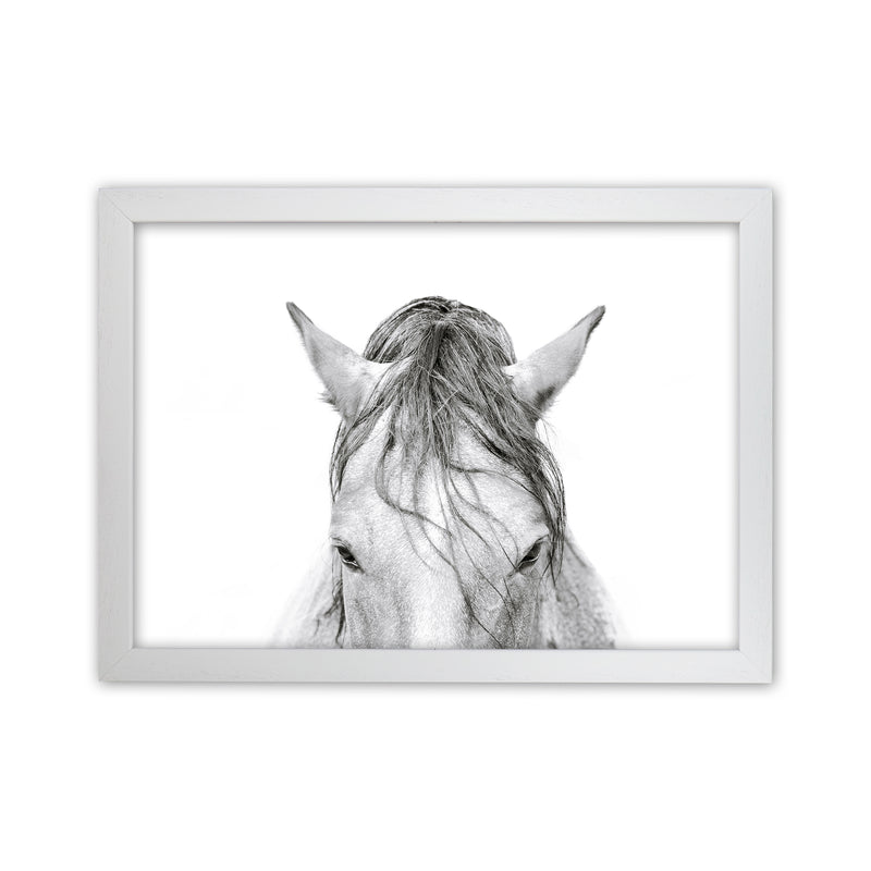 Horse II Photography Print by Victoria Frost White Grain