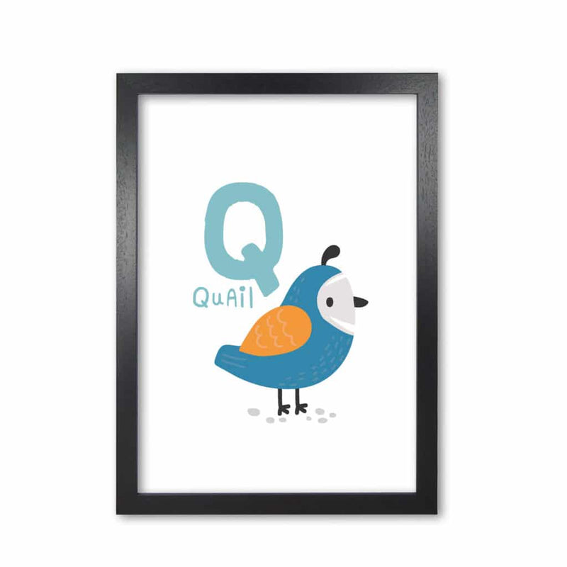 Alphabet animals, q is for quail modern fine art print, framed childrens nursey wall art poster