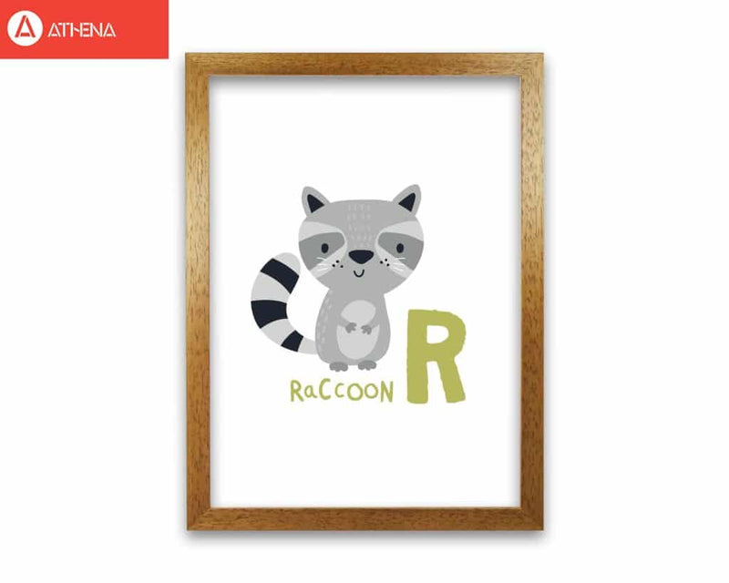 Alphabet animals, r is for raccoon modern fine art print, framed childrens nursey wall art poster