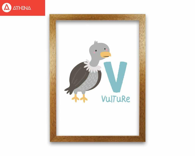 Alphabet animals, v is for vulture modern fine art print, framed childrens nursey wall art poster
