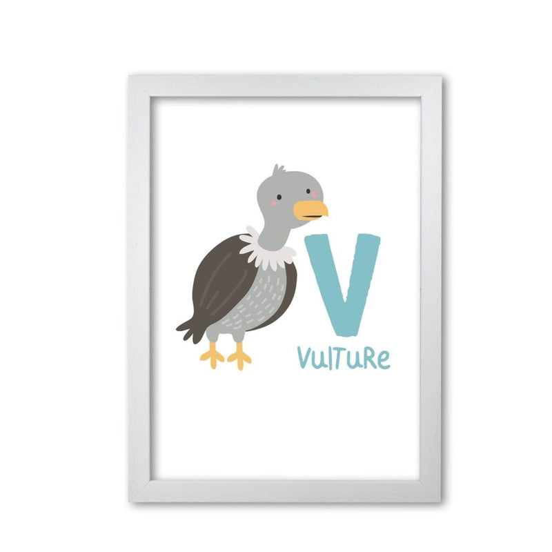 Alphabet animals, v is for vulture modern fine art print, framed childrens nursey wall art poster