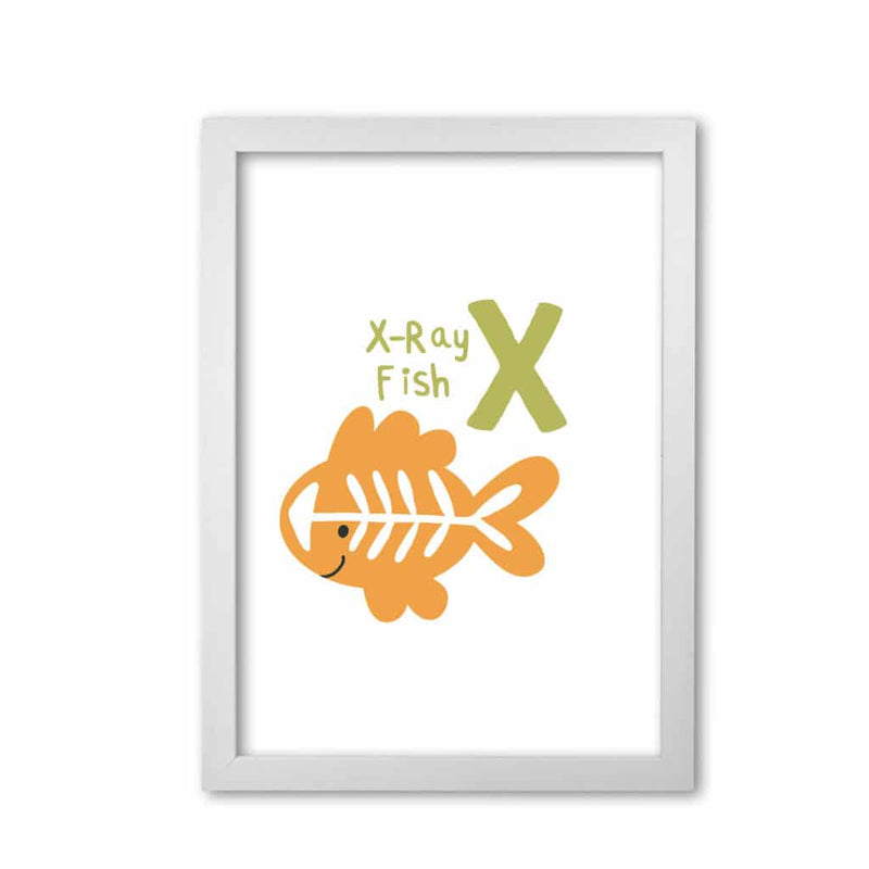 Alphabet animals, x is for x-ray fish modern fine art print, framed childrens nursey wall art poster