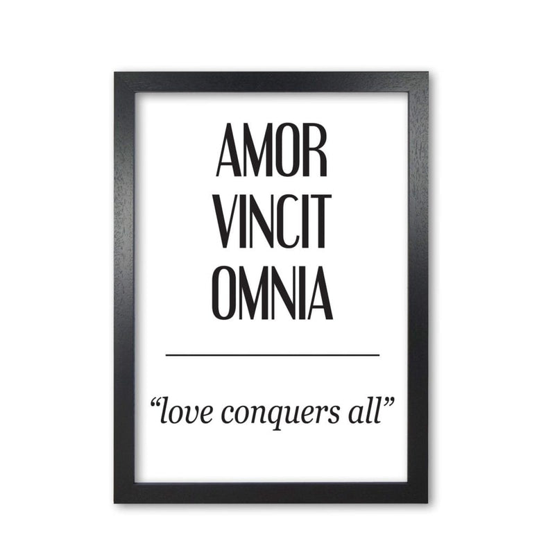 Amor vincit omnia modern fine art print, framed typography wall art