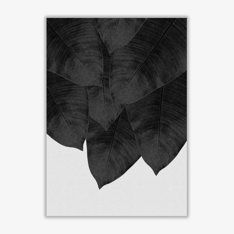 Banana leaf black &