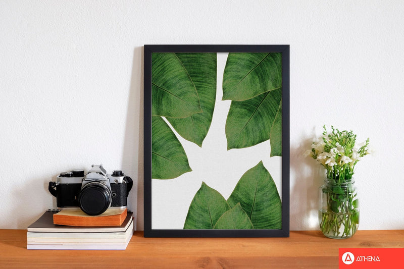 Banana leaf i fine art print by orara studio, framed botanical &