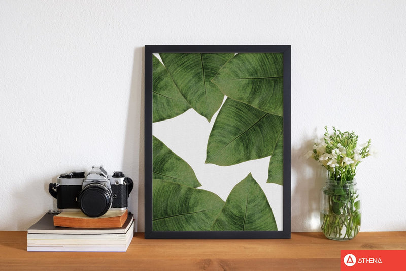 Banana leaf ii fine art print by orara studio, framed botanical &
