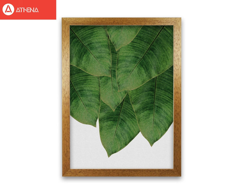 Banana leaf iii fine art print by orara studio, framed botanical &