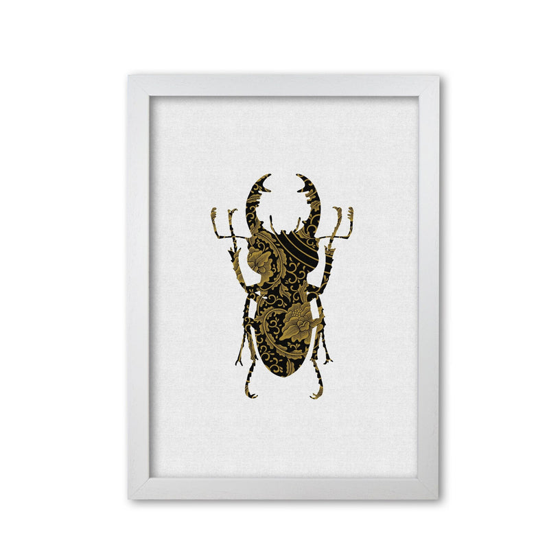 Black and gold beetle ii fine art print by orara studio