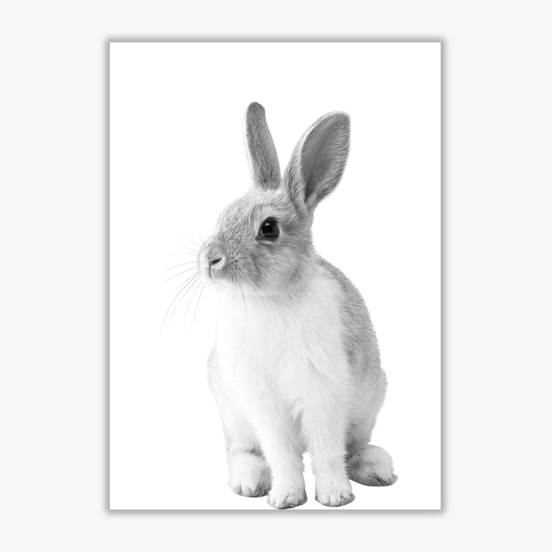 Black and white bunny modern fine art print