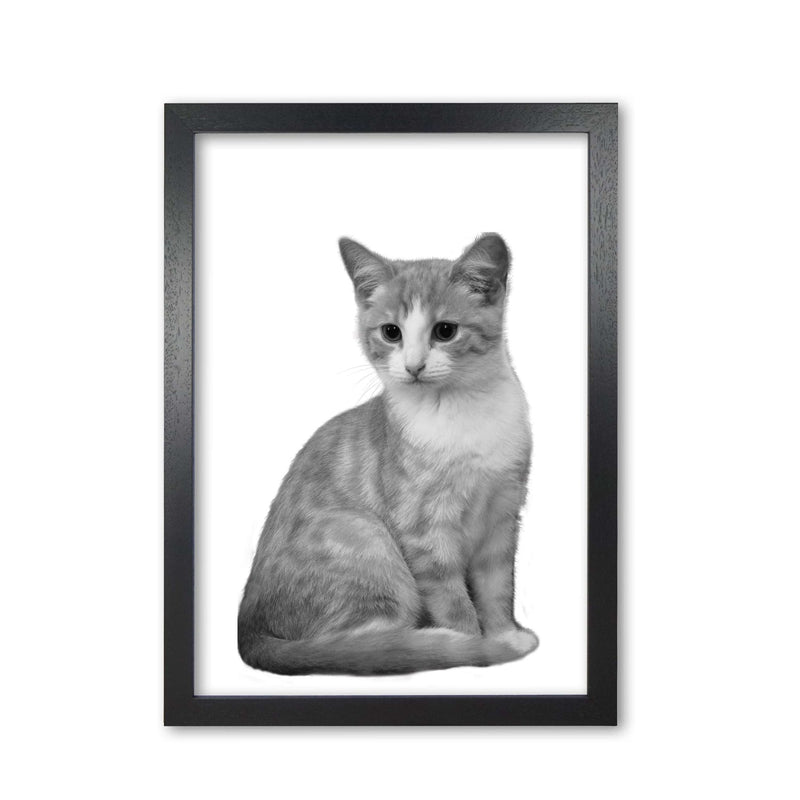 Black and white cat modern fine art print