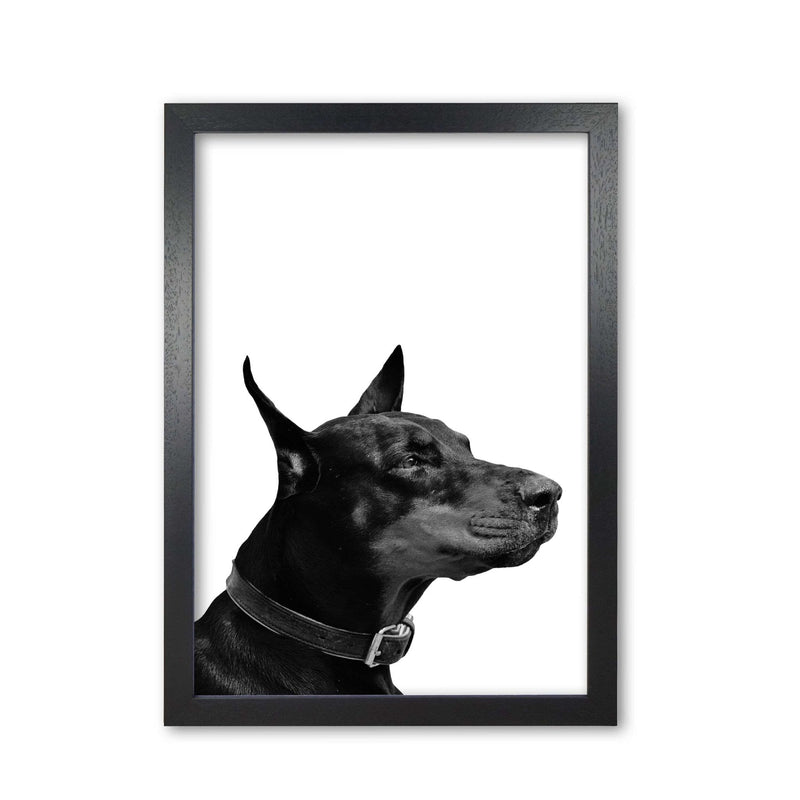Black and white dog modern fine art print