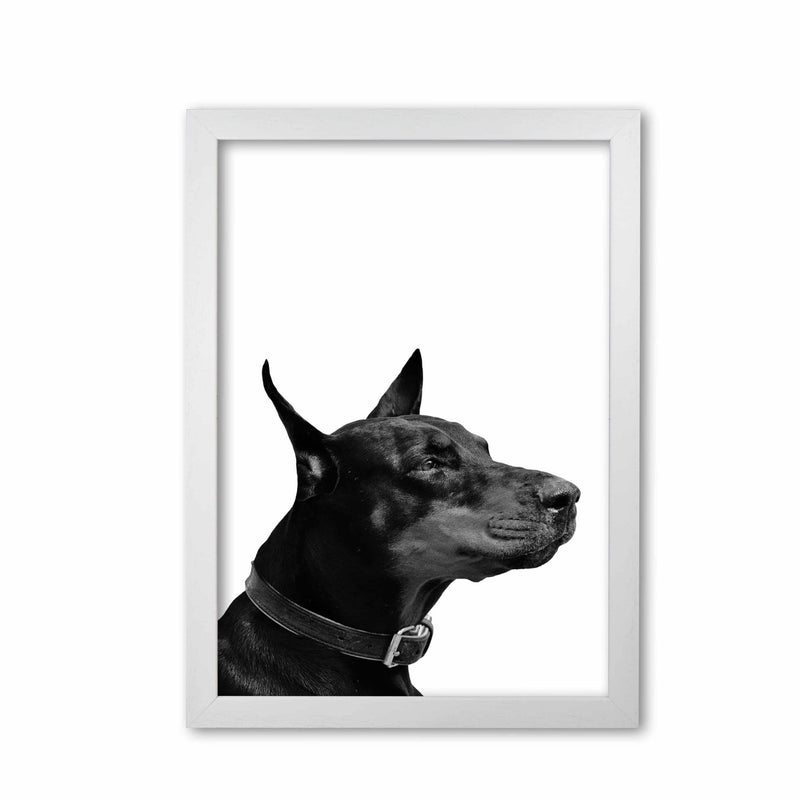 Black and white dog modern fine art print