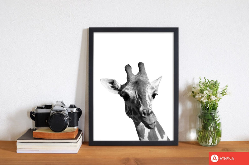 Black and white giraffe modern fine art print