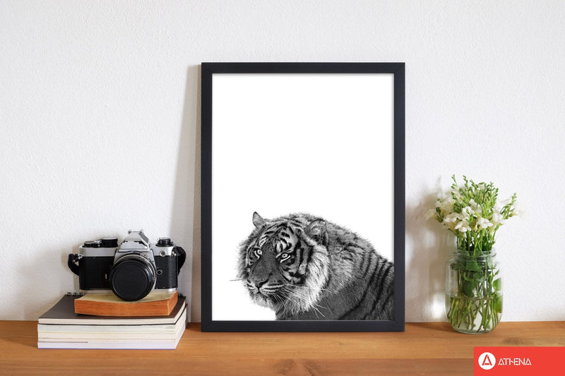 Black and white tiger modern fine art print