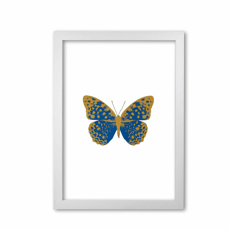 Blue butterfly fine art print by orara studio