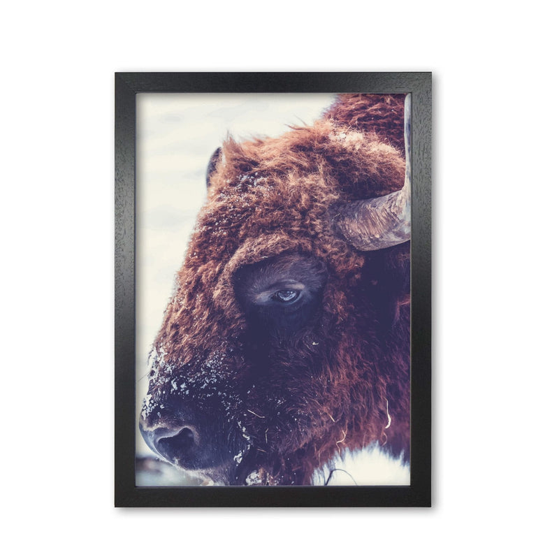 Bull modern fine art print