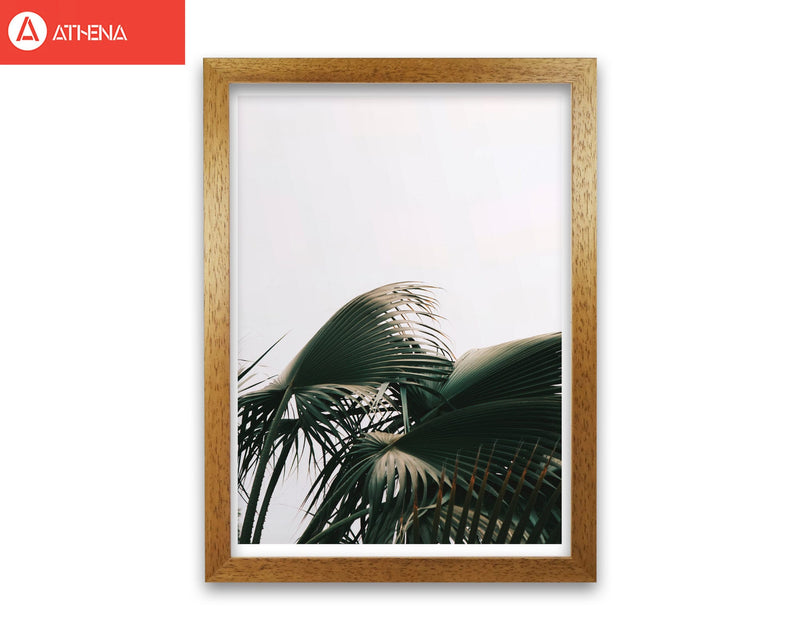 Bushy palm leaves modern fine art print, framed botanical &