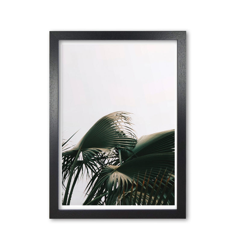 Bushy palm leaves modern fine art print, framed botanical &