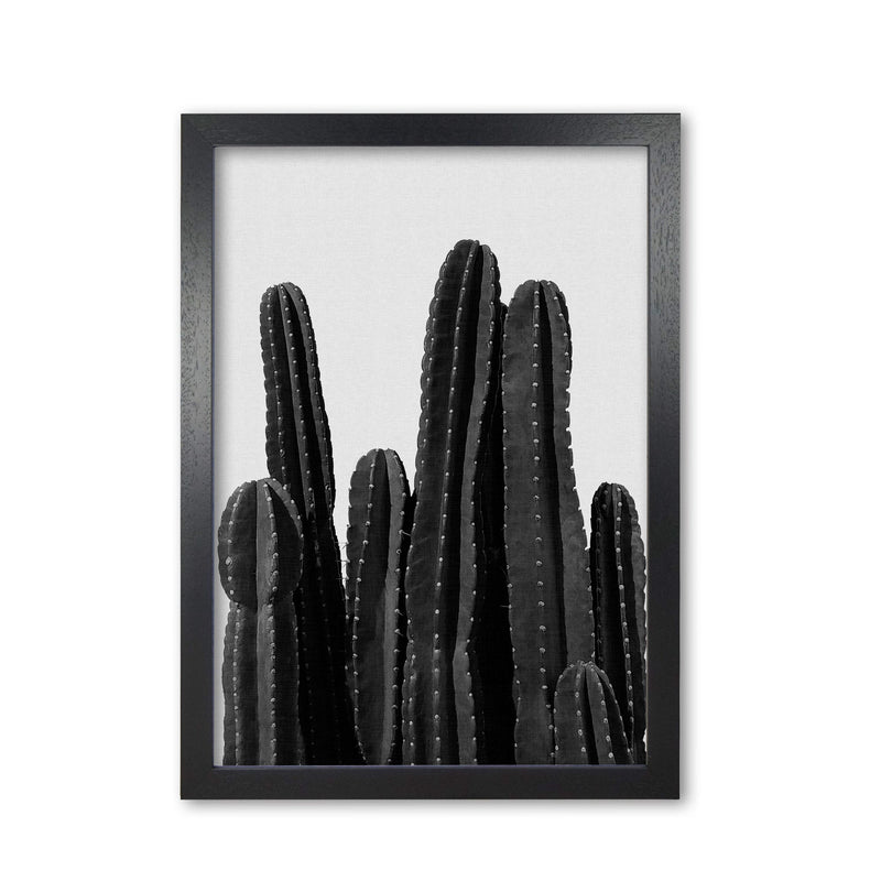 Cactus black and white fine art print by orara studio, framed botanical &