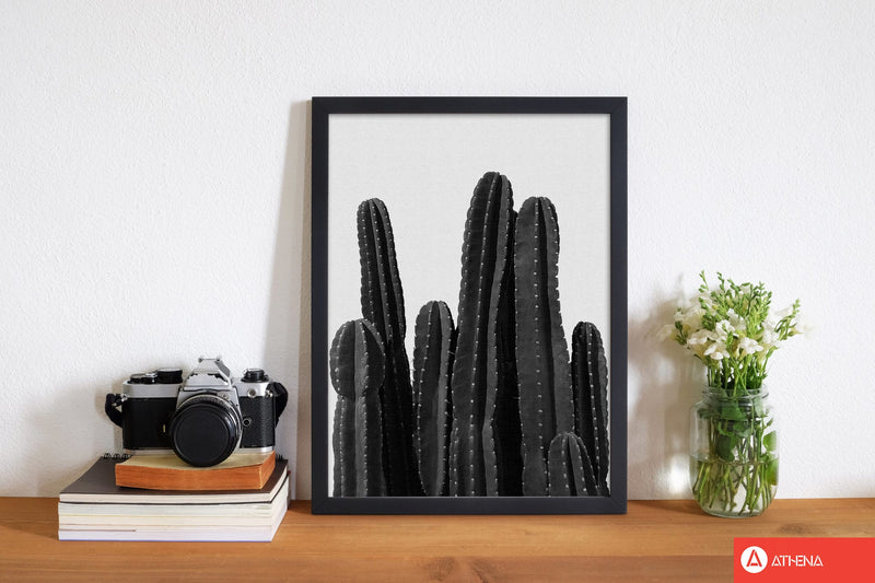 Cactus black and white fine art print by orara studio, framed botanical &