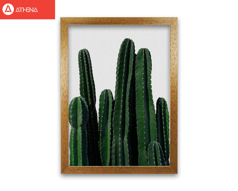 Cactus i fine art print by orara studio, framed botanical &