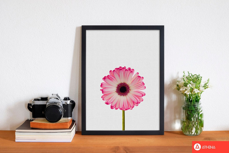 Daisy still life fine art print by orara studio, framed botanical &