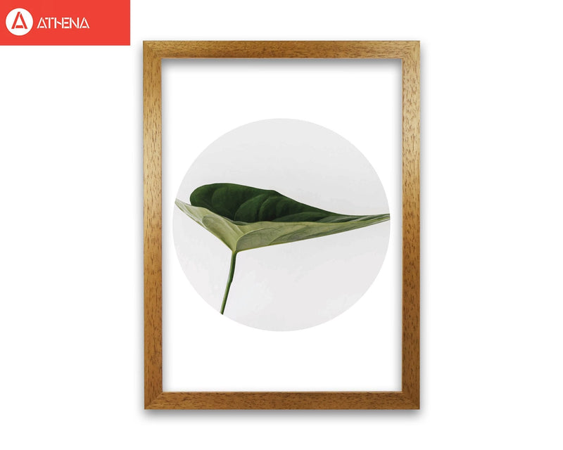 Doc leaf modern fine art print, framed botanical &