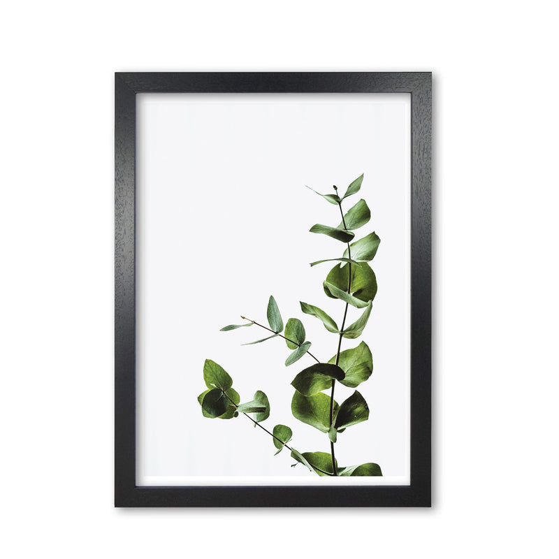 Elegant green plant modern fine art print, framed botanical &