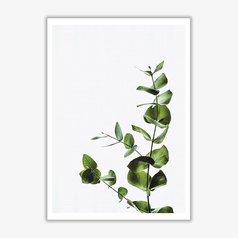 Elegant green plant modern fine art print, framed botanical &