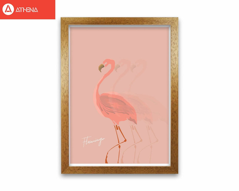 Flamingo shadow modern fine art print