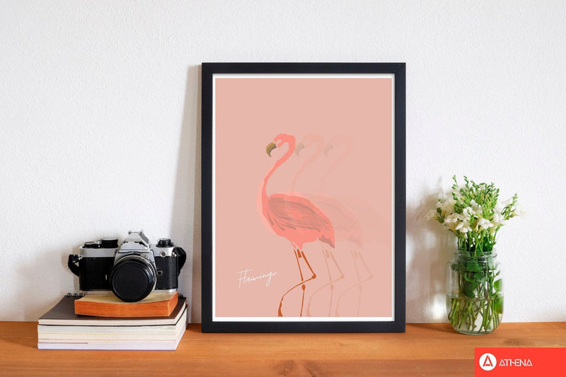 Flamingo shadow modern fine art print