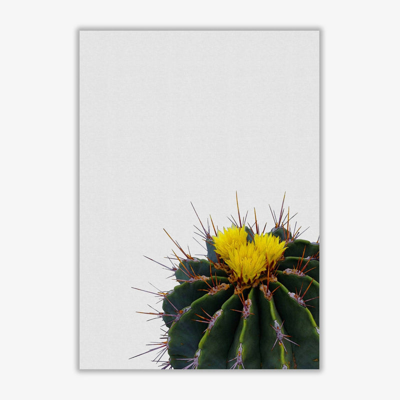 Flower cactus fine art print by orara studio, framed botanical &