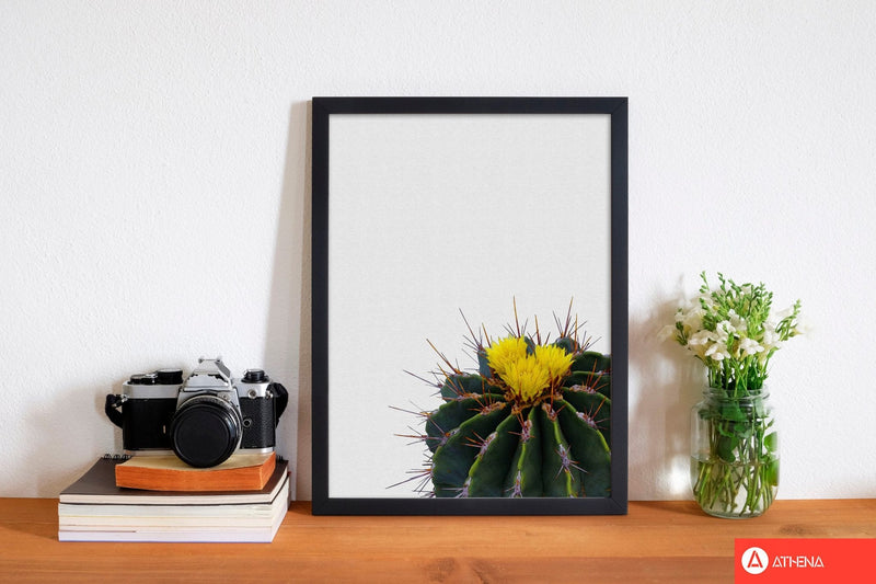 Flower cactus fine art print by orara studio, framed botanical &