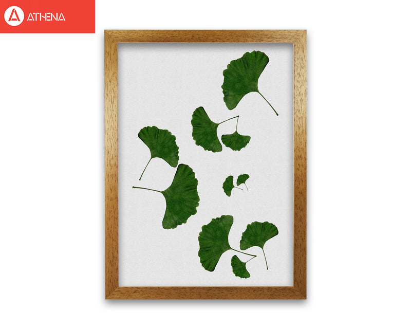 Ginkgo leaf i fine art print by orara studio, framed botanical &
