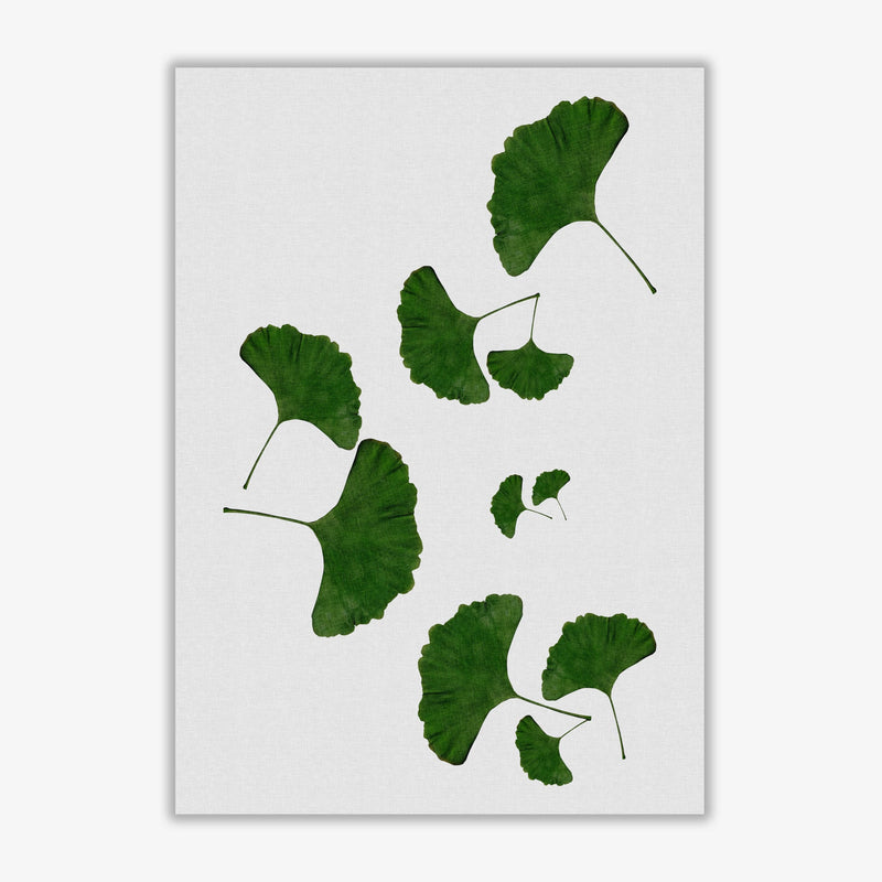 Ginkgo leaf i fine art print by orara studio, framed botanical &