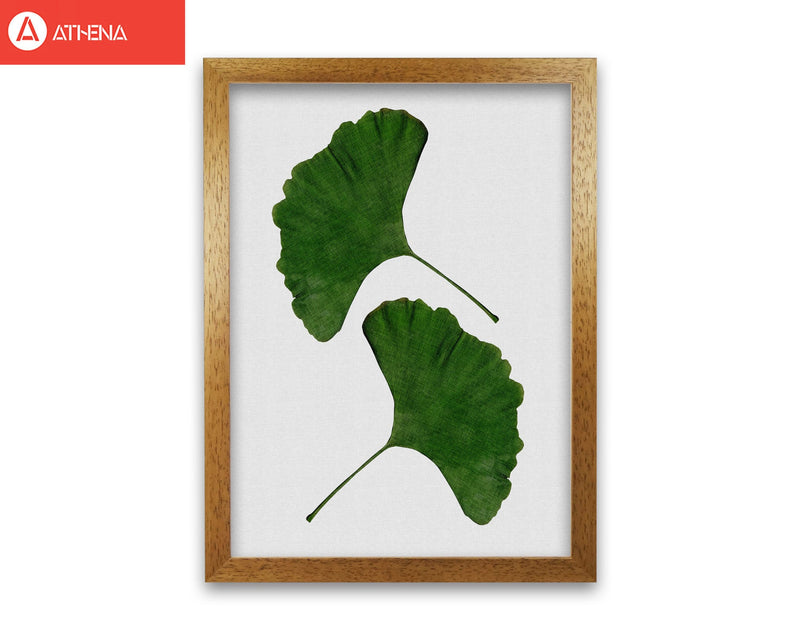 Ginkgo leaf ii fine art print by orara studio, framed botanical &