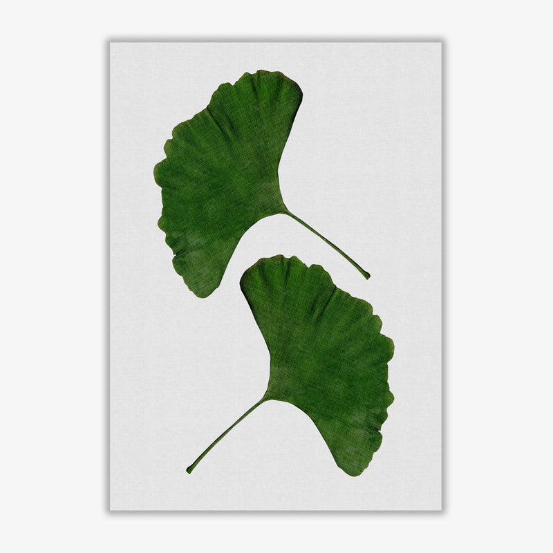 Ginkgo leaf ii fine art print by orara studio, framed botanical &