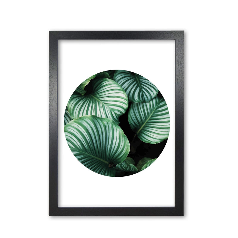 Green leaves circle modern fine art print, framed botanical &