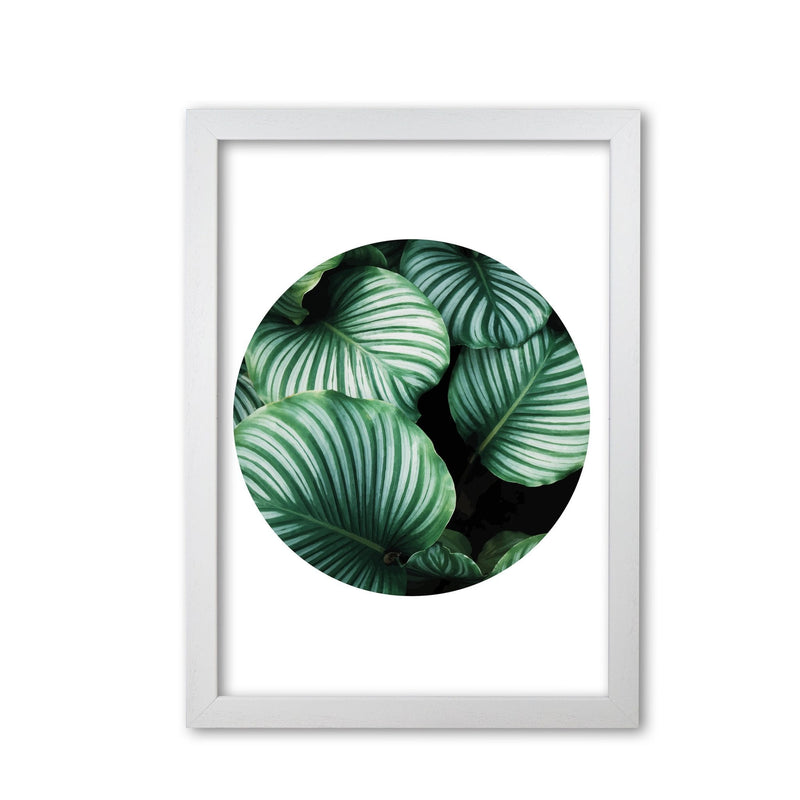 Green leaves circle modern fine art print, framed botanical &