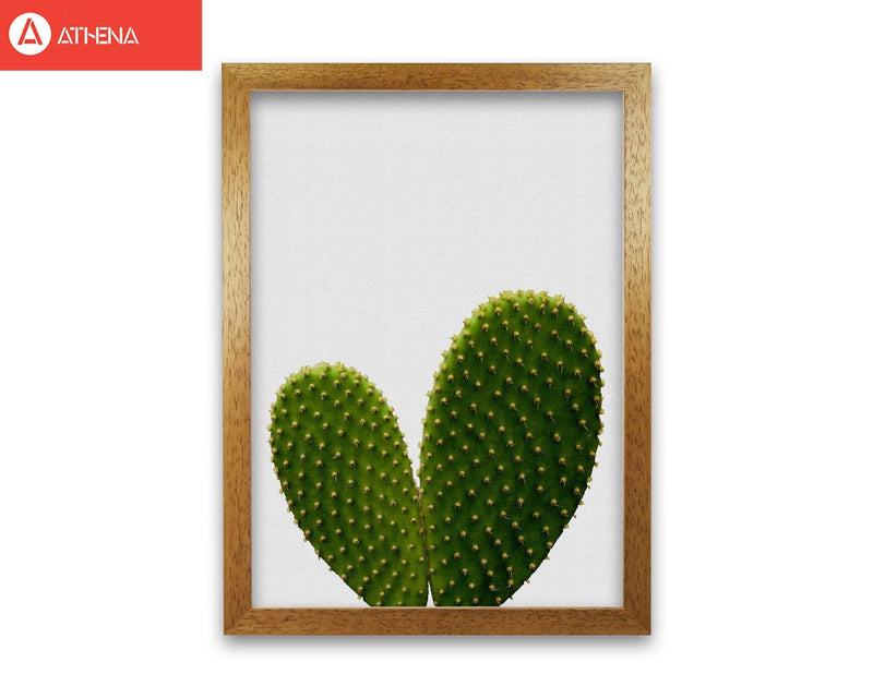 Heart cactus fine art print by orara studio, framed botanical &