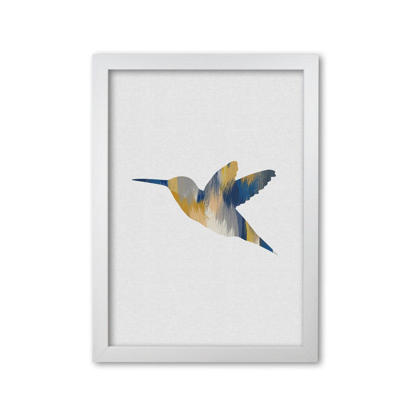 Hummingbird blue &