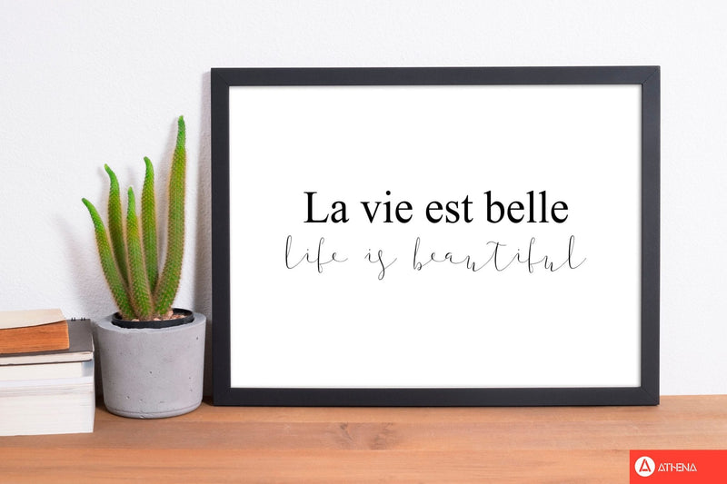 La vie est belle modern fine art print, framed typography wall art