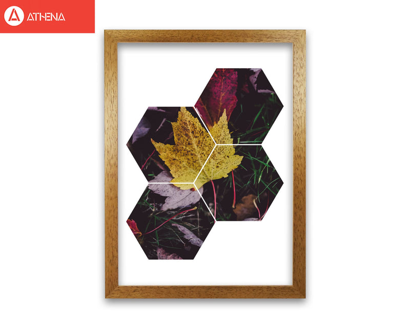 Leaf and grass abstract hexagons modern fine art print