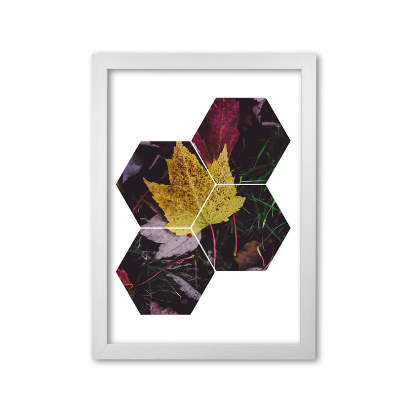 Leaf and grass abstract hexagons modern fine art print