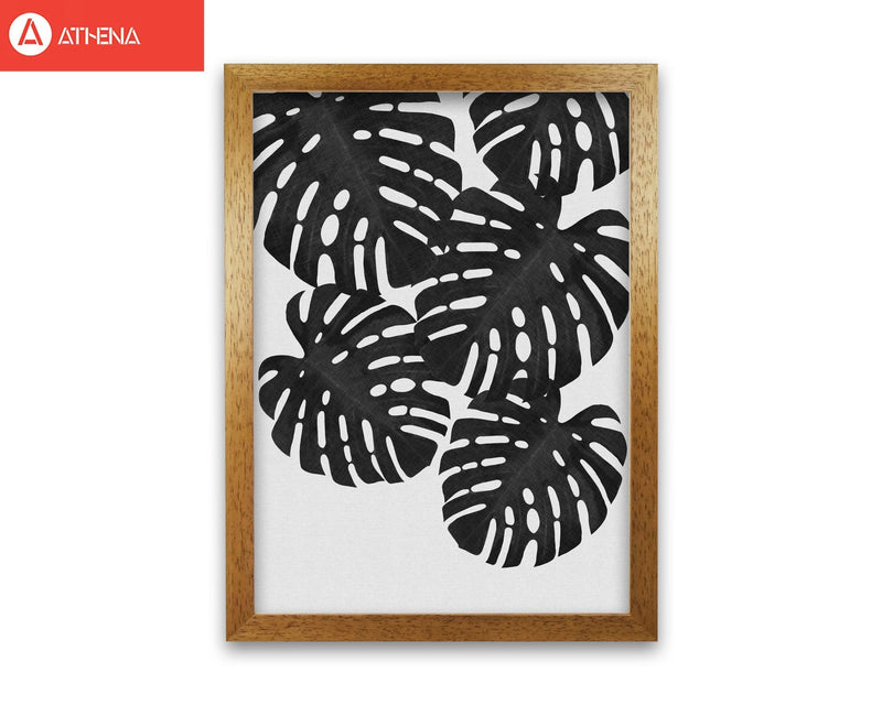 Monstera black &