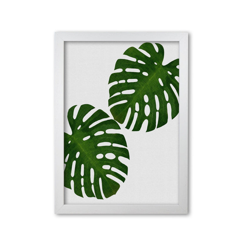 Monstera leaf ii fine art print by orara studio, framed botanical &