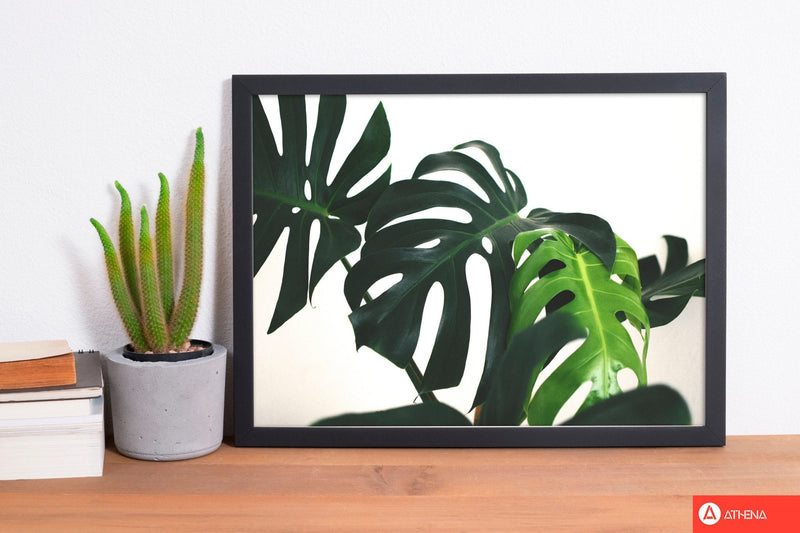 Monstera leaf landscape modern fine art print, framed botanical &