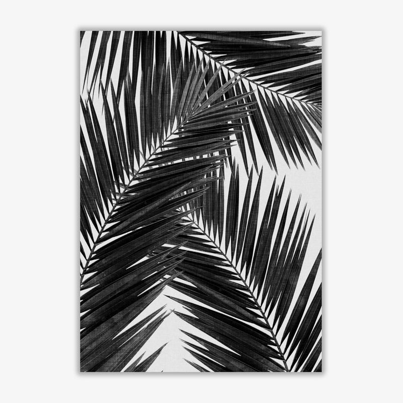 Palm leaf black &