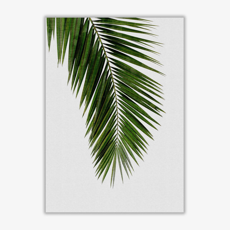 Palm leaf i fine art print by orara studio, framed botanical &
