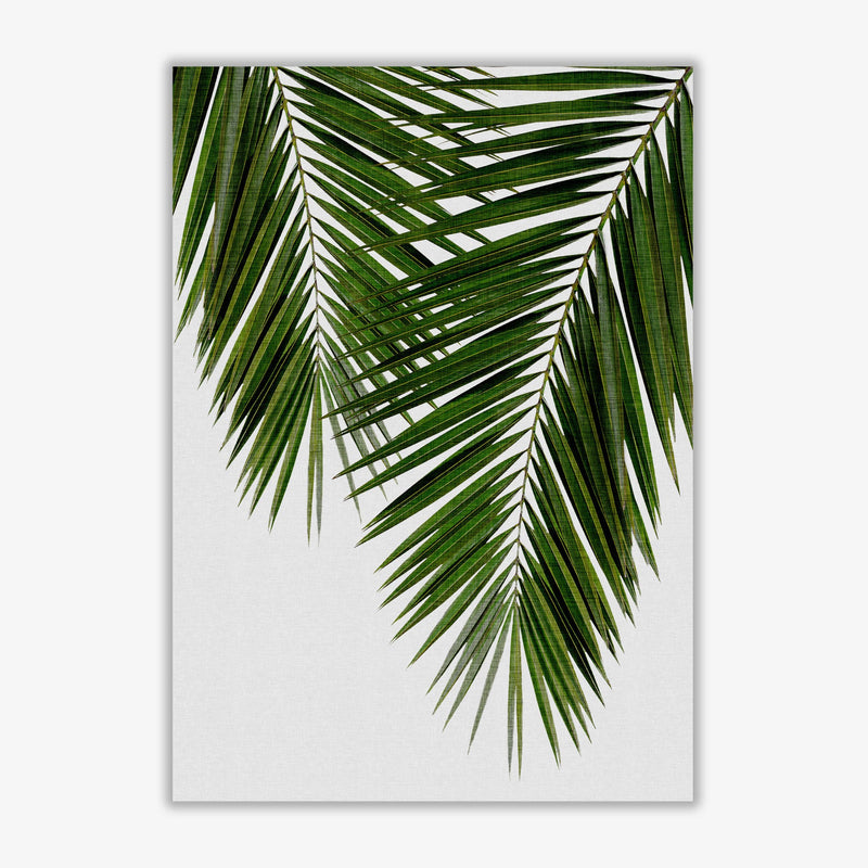 Palm leaf ii fine art print by orara studio, framed botanical &